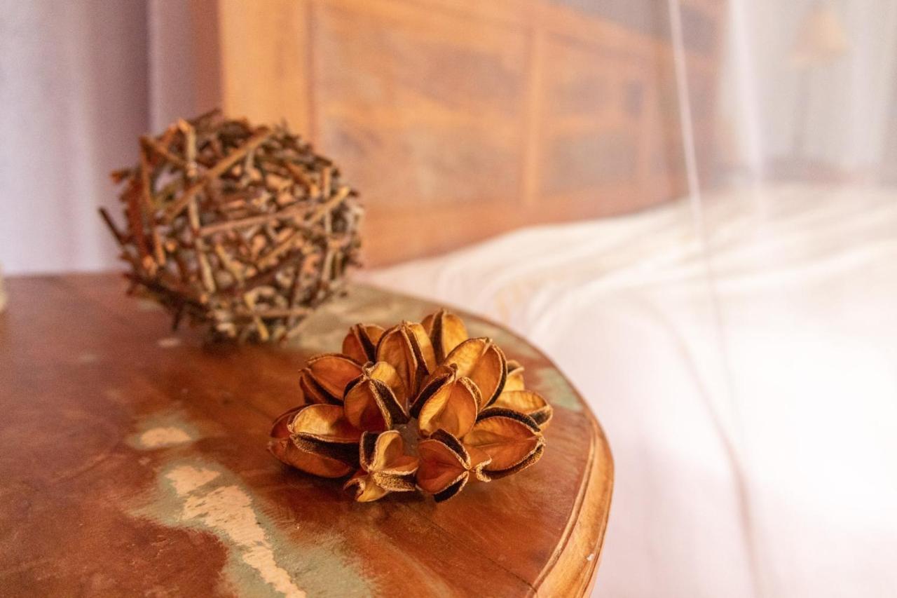 Hotel Altamira Eco Retreat Zewnętrze zdjęcie